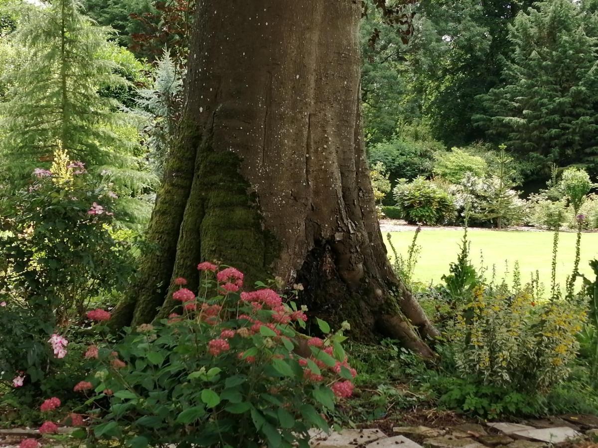 Chambre E Andre Le Domaine Des Jardins De Bracquetuit Kültér fotó
