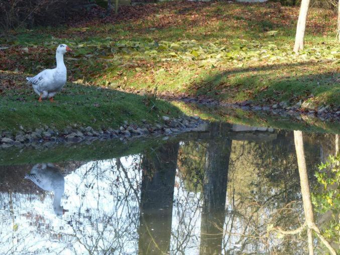 Chambre E Andre Le Domaine Des Jardins De Bracquetuit Kültér fotó