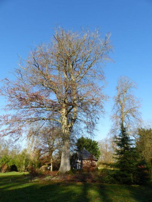 Chambre E Andre Le Domaine Des Jardins De Bracquetuit Kültér fotó