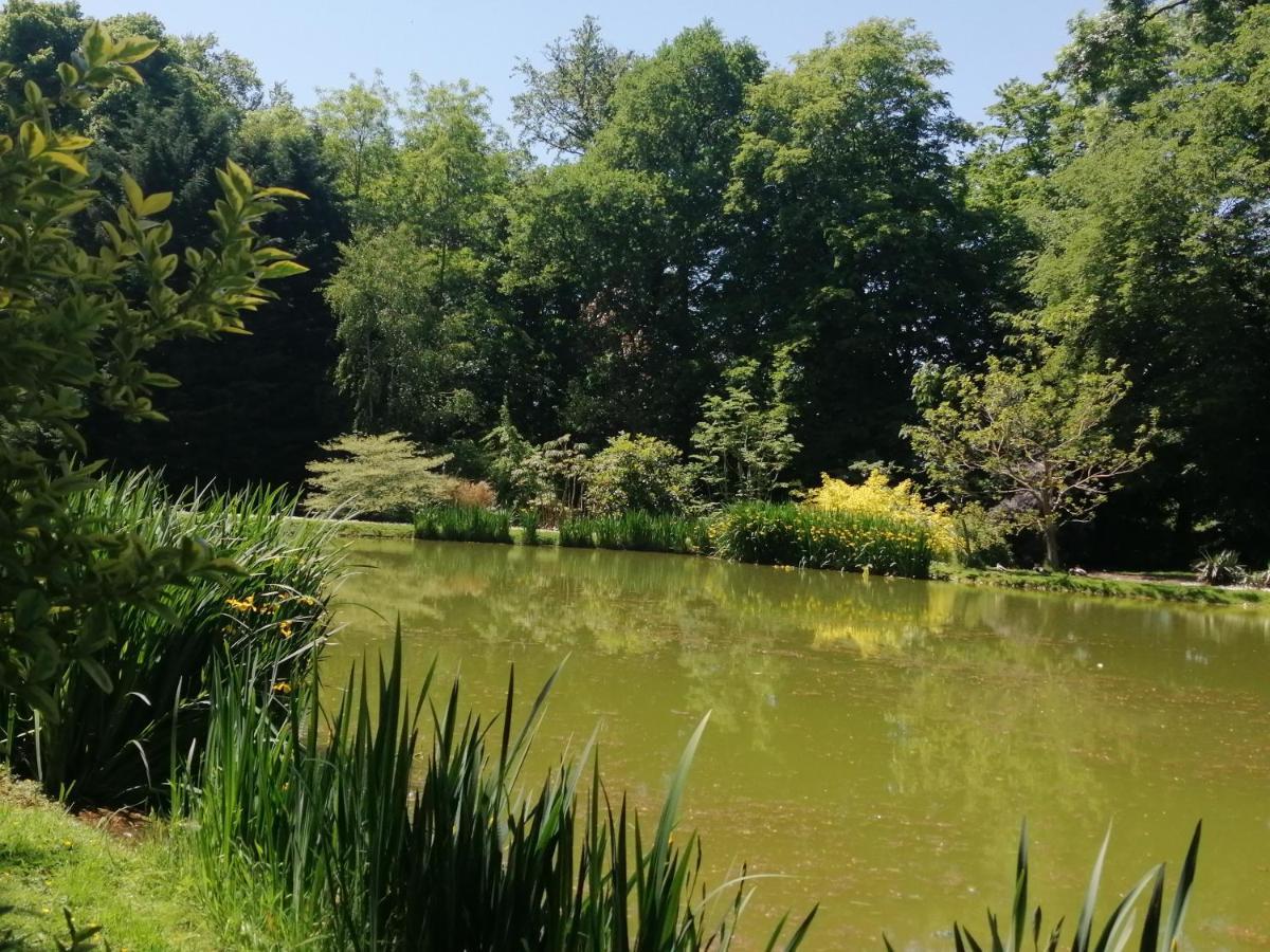 Chambre E Andre Le Domaine Des Jardins De Bracquetuit Kültér fotó